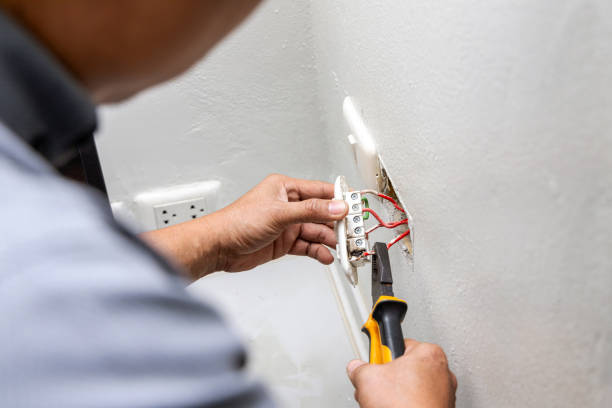 Best Electric Panel Repair  in Christiansburg, VA